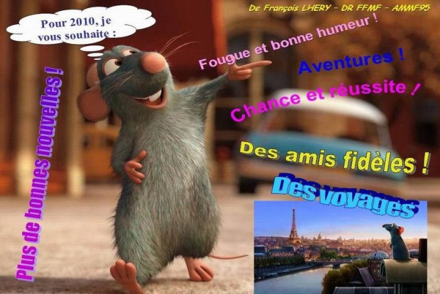 f_flhery-ammf95_ratatouille