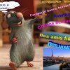 f_flhery-ammf95_ratatouille