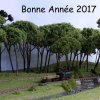 bonne-annee-2017